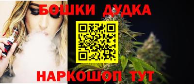 шишки Лесосибирск