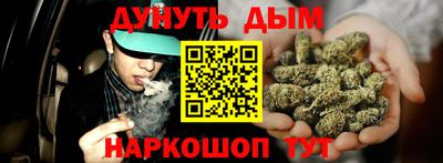 шишки Лесосибирск