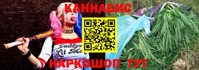 шишки Лесосибирск