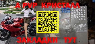 шишки Лесосибирск