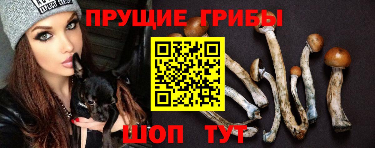 Галлюциногенные грибы Psilocybine cubensis  Вход с VPN  Черногорск 